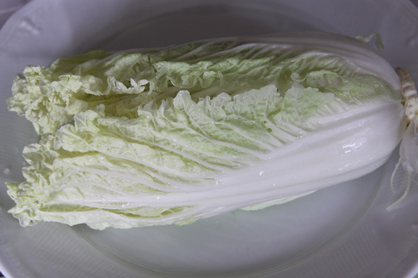 Sucrine ou chou chinois ? De forme allongée, les feuilles sont longues et très claires.