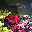 Les fleurs en tissus Gambs, un incontournable de la maison. Les fleurs en tissus Gambs, un incontournable de la maison.