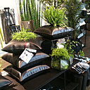 De drôles de coussins-pots de fleurs en Pévétex, un matériau recyclé. De drôles de coussins-pots de fleurs en Pévétex, un matériau recyclé.