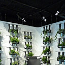 Une autre déclinaison du Pévétex ; ici en fauteuil et jardinières suspendues. Une autre déclinaison du Pévétex ; ici en fauteuil et jardinières suspendues.