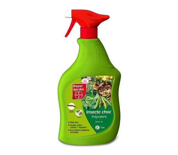 Pour éradiquer les insectes sur vos cultures florales et potagères