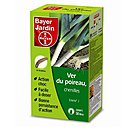 Pour éloigner les chenilles de vos beaux poireaux