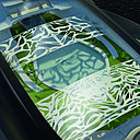 Un couple de dauphine barbote dans la somptueuse piscine de l'Ocean Hawk