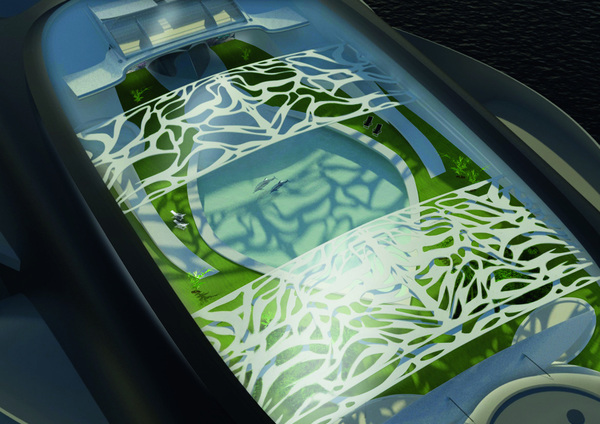 Un couple de dauphine barbote dans la somptueuse piscine de l'Ocean Hawk