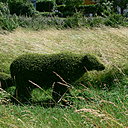 Pour aider les enfants à mieux visualiser, le parc a prévu des topiaires de buis taillés en forme d'animaux de la forêt. Pour aider les enfants à mieux visualiser, le parc a prévu des topiaires de buis taillés en forme d'animaux de la forêt.