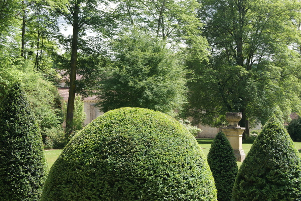 Les buis transplantés dans divers coins du parc se retrouvent dans le « jardin saint Bernard »