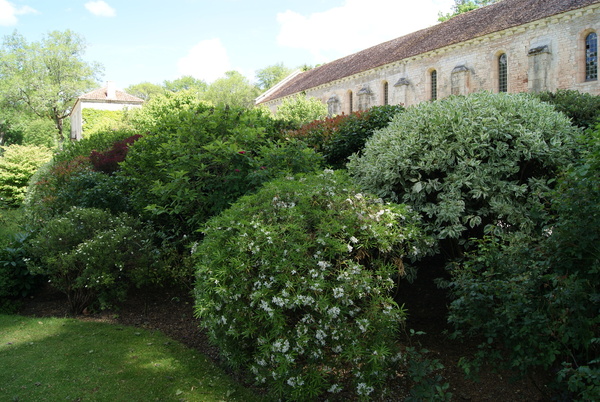 Une grande variété de viburnum et d’hydrangea égaient désormais le parc de leurs floraisons échelonnées de l’hiver à l’automne