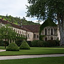 Le platane trône au milieu de la grande cour centrale de l’abbaye