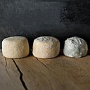 Selon l'affinage et votre goût, le Chavignol  se déguste jeune et fondant (peau blanche), savoureux (flore ivoire à bleutée), ou affiné (croûte grisonnante et duveteuse).