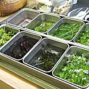 Les herbes, éléments essentiels à la cuisine du chef