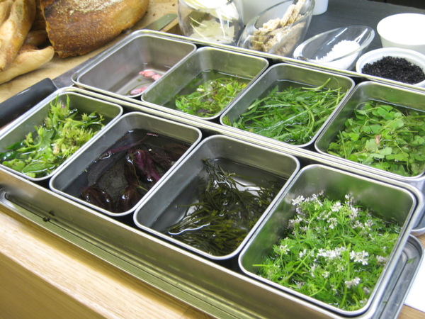 Les herbes, éléments essentiels à la cuisine du chef