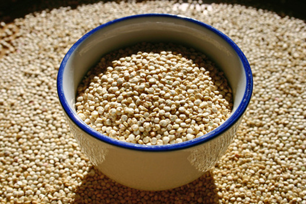 Sous différentes formes, riche en protéines et en minéraux, sans gluten, non traité et très digeste, le quinoa a tout bon !