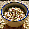 Le quinoa, « riz des Incas »