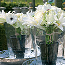 Naturellement élégantes, les fleurs de lys se marient parfaitement aux géraniums, aux coreopsis, aux phlox, aux hémérocalles, ou encore aux roses.