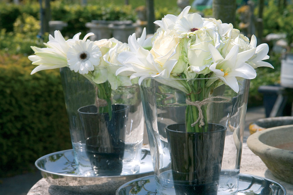 Naturellement élégantes, les fleurs de lys se marient parfaitement aux géraniums, aux coreopsis, aux phlox, aux hémérocalles, ou encore aux roses.