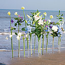 Royal, le lys est la star des compositions florales estivales