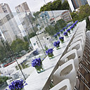 Les fleurs, les plantes, la lumière naturelle sont le leitmotiv de l’hôtel Habita.