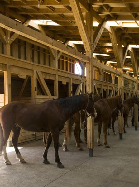 Les excursions peuvent aussi se faire à cheval. Une façon d’explorer les zones montagneuses du parc.