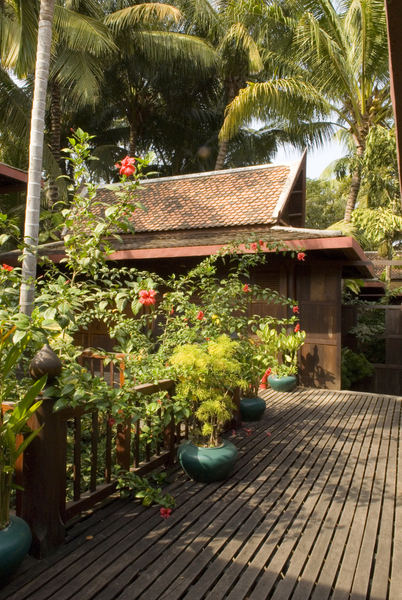 La végétation s’épanouit au cœur de l’établissement.