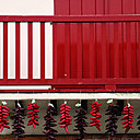 Un bois nourri, protégé, qui respire avec la nouvelle peinture multicouche pour la protection et la décoration des bois : Elastop Hydro Satin, Tollens.