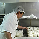 Le processus de fabrication de fromages au lait de chèvre se fait grâce à un lait plus digeste et diététique que le lait de vache.