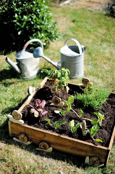 Des escargots pour mon potager en carré