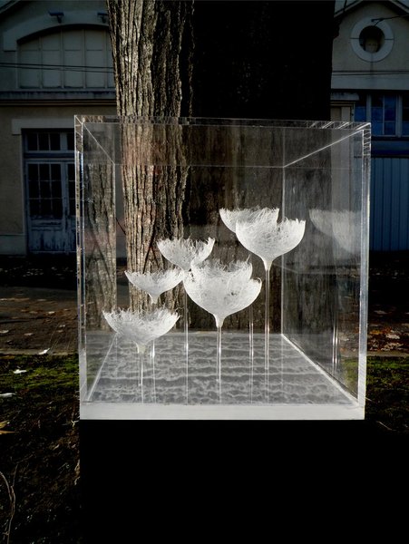 Fleurs avec éclairage incorporé, œuvre de Miki pour l'intérieur ou l'extérieur.