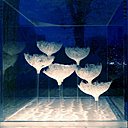 Jardin de Chaumont-sur-Loire 2010 vu de nuit