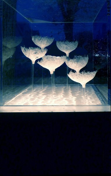 Jardin de Chaumont-sur-Loire 2010 vu de nuit