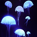 Installation de 180 méduses restaurant Bayview, Hôtel du Président Wilson, Genève