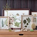 Végétaux et feuilles séchées sur partition de musique.