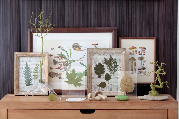 Végétaux et feuilles séchées sur partition de musique.