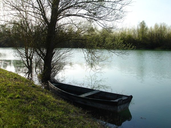 Une fois votre bassin rempli d'eau et vos plants de végétaux déployés, vous aurez le loisir de profiter d'instants contemplatifs, au contact d'un paysage apaisant.