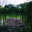 Un étang de baignade est le résultat d'un chantier beaucoup plus long que celui requis pour aménager une piscine naturelle, dont les usages et l'aspect sont moins similaires qu'il n'y paraît.