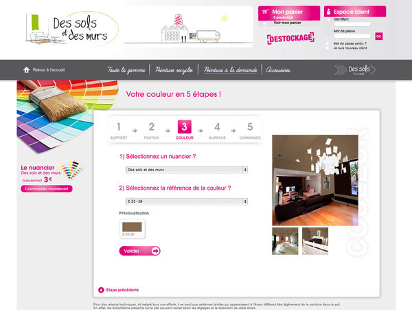 Le site Des sols et des murs a été lancé en mars 2011 par deux spécialistes des poses de revêtements de sol et de peintures dans le secteur professionnel, Dimitri Thirard et Franck Lefèvre.