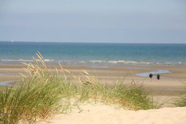 Le littoral des dunes de Flandre.