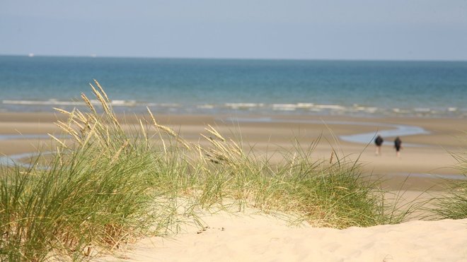 Le littoral des dunes de Flandre.