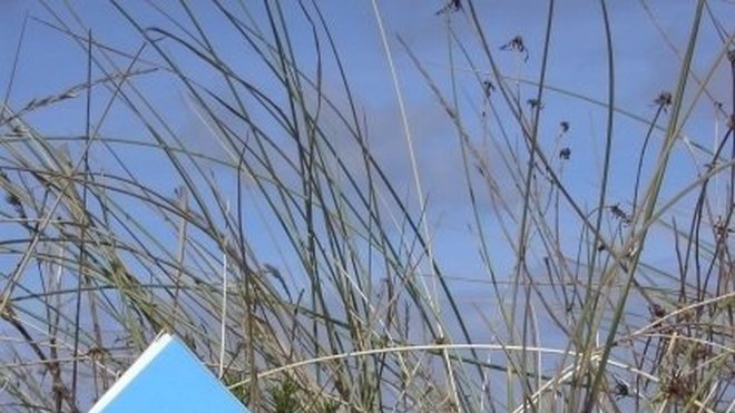 Le parfum des Dunes.