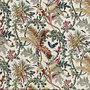 Papillons exotiques.