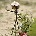 Balades en nature, détours insolites, spectacles du ciel et de ses habitants, anecdotes gustatives, initiations botaniques et dégustations de baies et de champignons vous attendent. Dimanche Nature du 04 septembre 2011 par Nature et Découvertes.