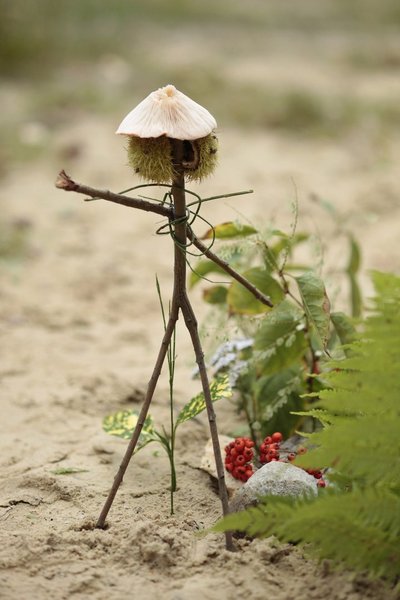 Balades en nature, détours insolites, spectacles du ciel et de ses habitants, anecdotes gustatives, initiations botaniques et dégustations de baies et de champignons vous attendent. Dimanche Nature du 04 septembre 2011 par Nature et Découvertes.