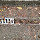 Feuilles, mousses et brindilles bouchent les canalisations