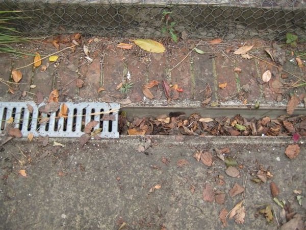 Feuilles, mousses et brindilles bouchent les canalisations