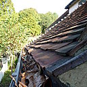 L'automne demeure la saison redoutée des gouttières