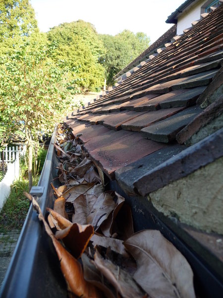 L'automne demeure la saison redoutée des gouttières