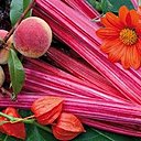 Thème de l'édition de septembre 2011: « le jardin nourricier, nourriture du corps et de l’esprit ». Tout un programme !