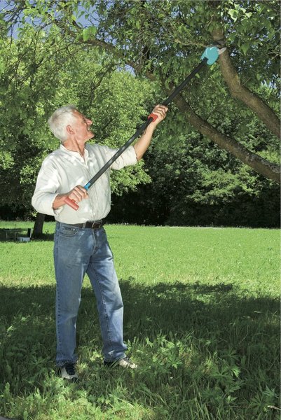 Près de 5 mètres de manche pour couper les branches les plus hautes
