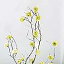 Piquez des fleurs d'oeillets sur une branche, comme des bourgeons, avant de placer cette dernière dans un vase ou sur votre mobilier, en guise de décoration.