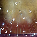 Papillons de Swarovski