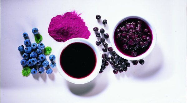 Fraîches, en sirop ou en confiture, cuites ou séchées, ingrédients fondamentaux des pâtisseries et des mets salés, les myrtilles sauvages possèdent d’excellentes propriétés antioxydantes.